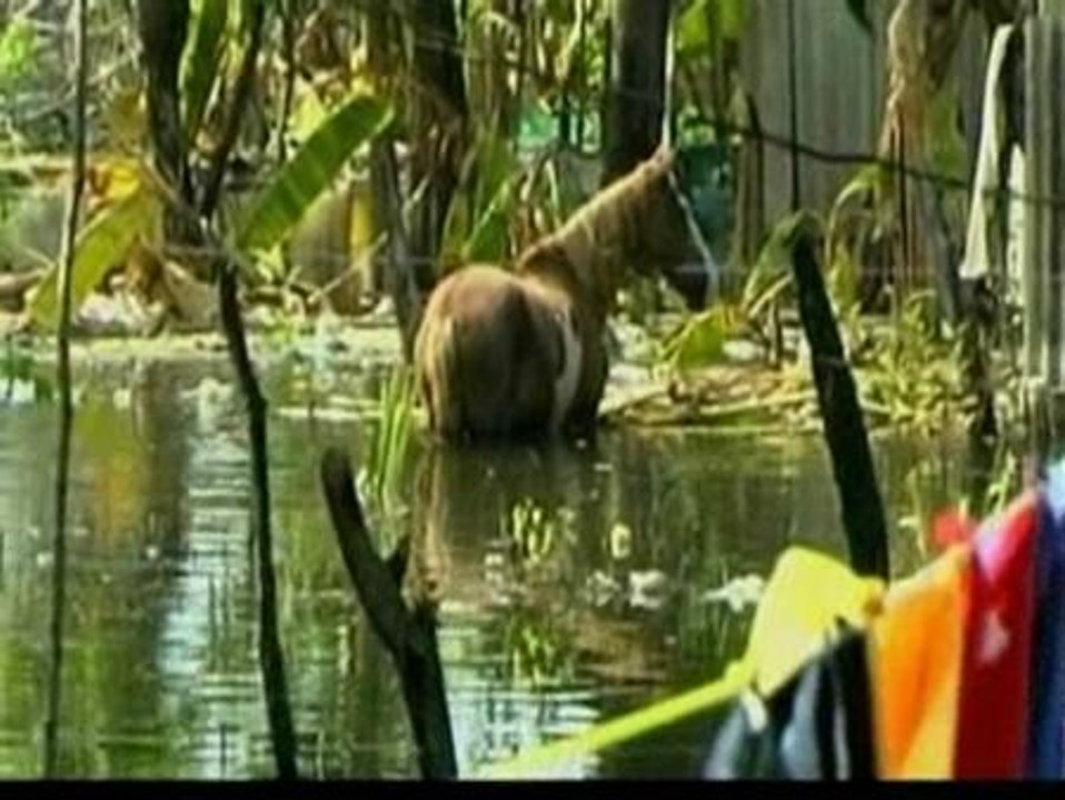 La tormenta tropical Mathew deja al menos seis muertos en México