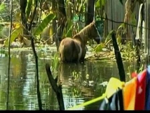 La tormenta tropical Mathew deja al menos seis muertos en México