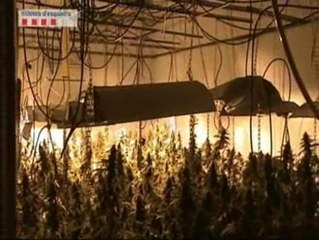 La policía localiza en Barcelona un macro criadero de marihuana y detiene a cuatro búlgaros