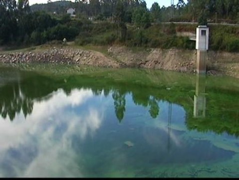 Un alga tiñe de verde el pantano del Umia (Pontevedra)