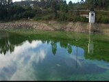 Un alga tiñe de verde el pantano del Umia (Pontevedra)