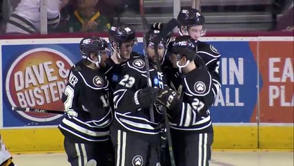 Hershey Bears vs. Providence Bruins - March 30, 2019