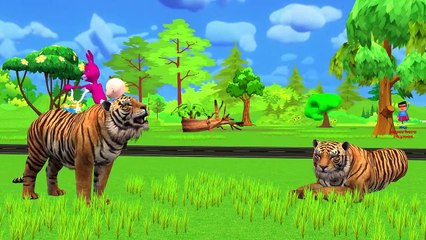 Funny Bunny Go To Forest - Learn Brush Your Teeth Daily Nursery Rhymes | Best Cartoon Movies