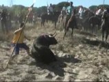 Tordesillas desoye a los antitaurinos y celebra su tradicional 'toro alanceado'