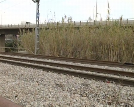 Servicios mínimos de transporte para el 29-S