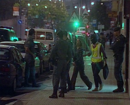 Nueve detenidos en un nuevo golpe contra ETA