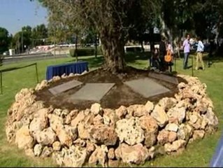 Flores en recuerdo a las víctimas del accidente de Spanair