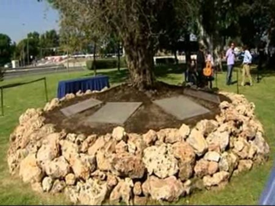 Flores en recuerdo a las víctimas del accidente de Spanair