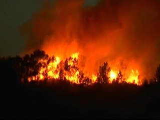 Los vecinos habían avisado del descontrol en la cala Benirrás