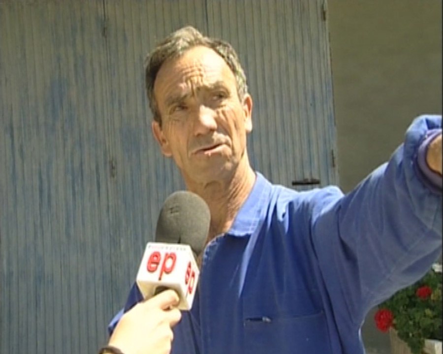 Ciervos muertos desprenden olor insoportable