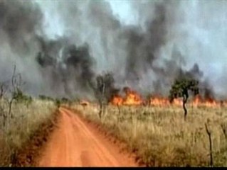 Oleada de incendios en Brasil