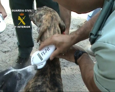 El Seprona rescata 24 galgos