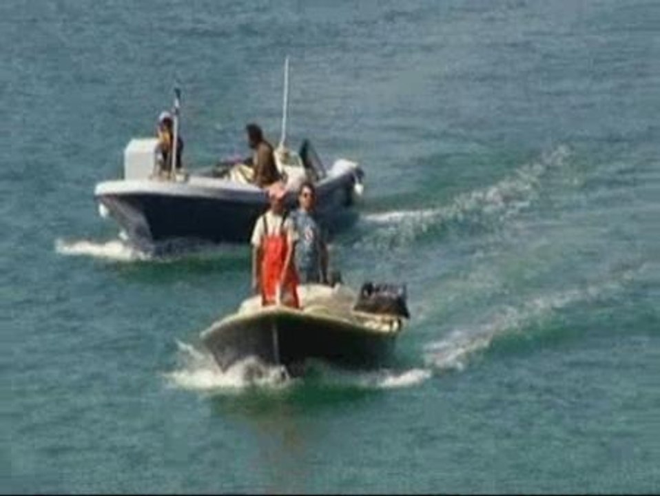 Flotas "caza-medusas" protegen las playas de San Sebastián