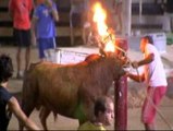 Los grupos antitaurinos piden que la tradición del 'toro embolao' también sea prohibida