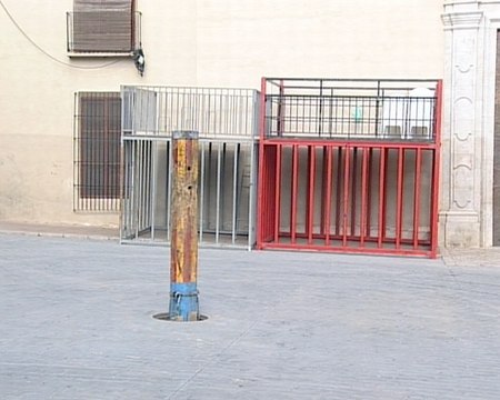 Muere empitonado por un toro embolado