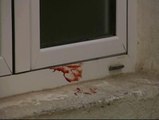 Un hombre mata a su mujer y a su hijo en Almería y luego se tira por la ventana
