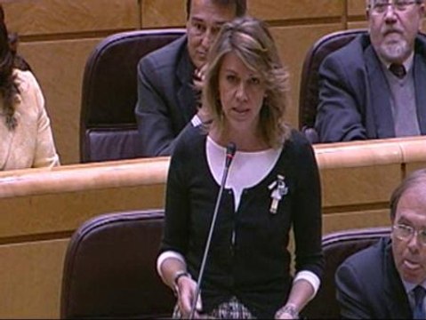 El PP defiende la reforma de la Ley del Menor en el Senado