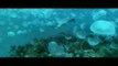 Disney estrenará 'Océanos', un espectacular viaje bajo el mar