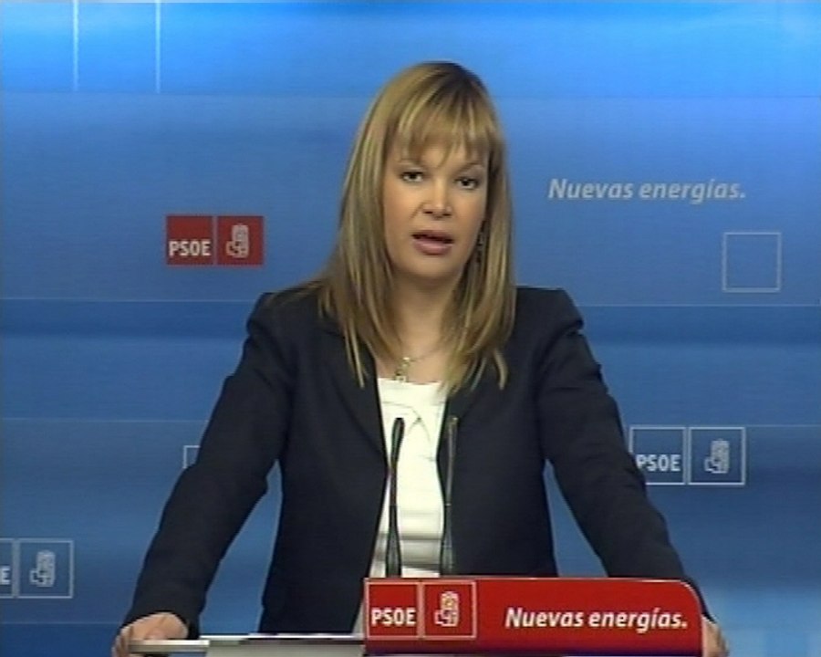 Pajín pide esfuerzos para salir de la crisis