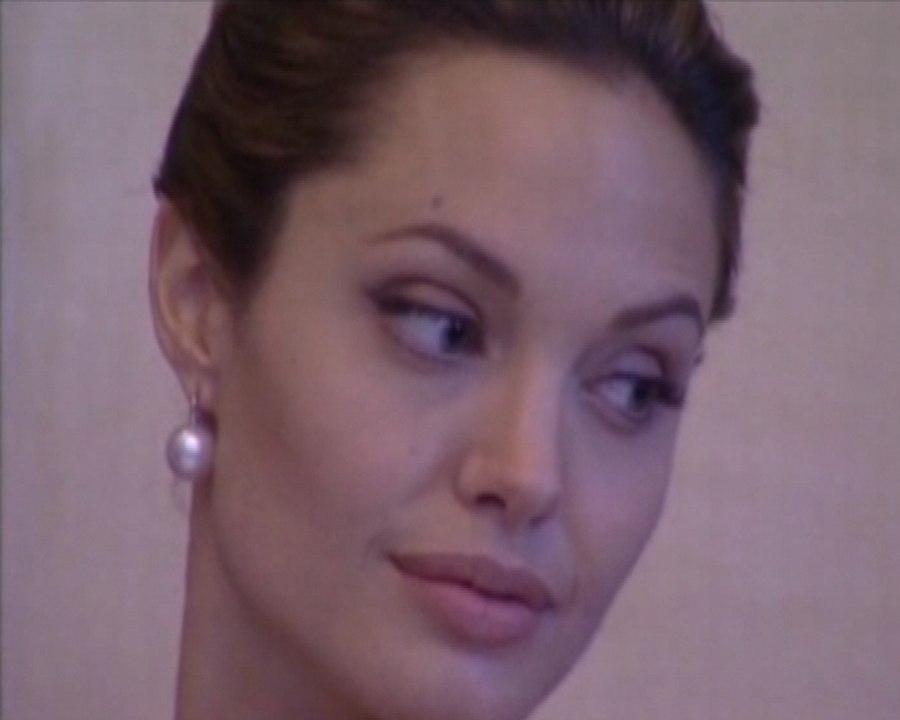 La verdadera historia de 'Bradngelina' en un libro