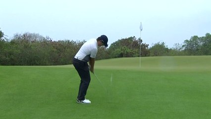 임성재, 푼타카나 챔피언십 2타 차 3위 / YTN