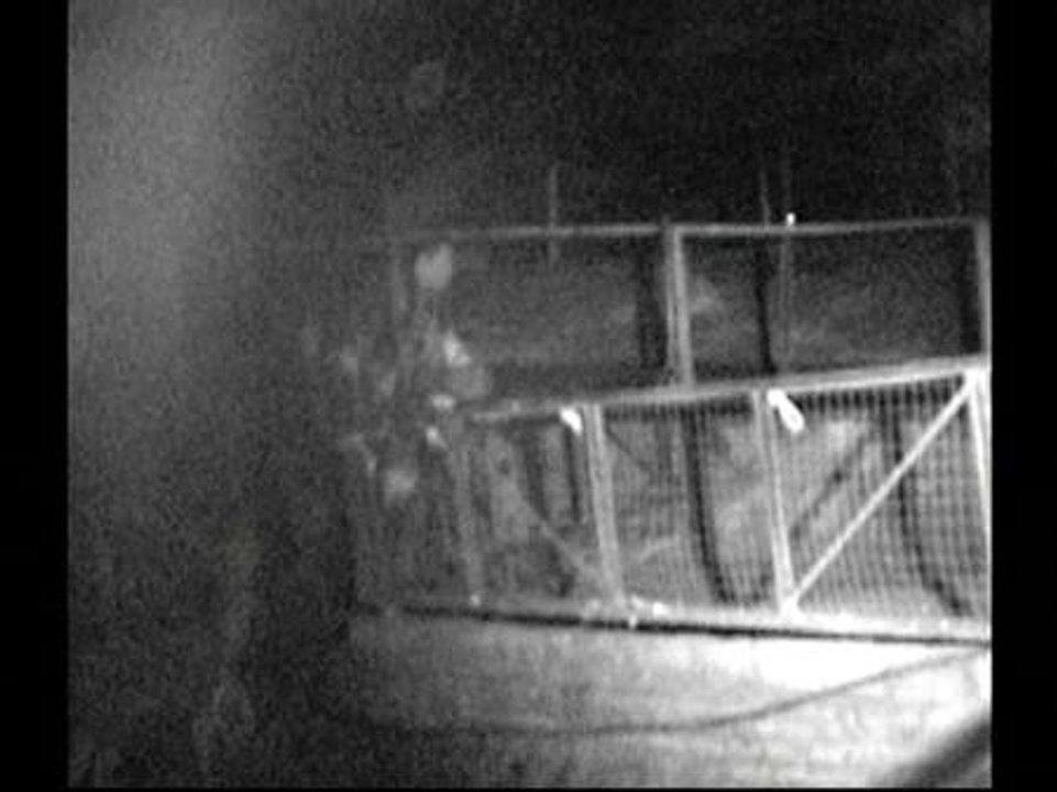 Roban cuatro ciervos en una granja escuela de Montornés del Vallés