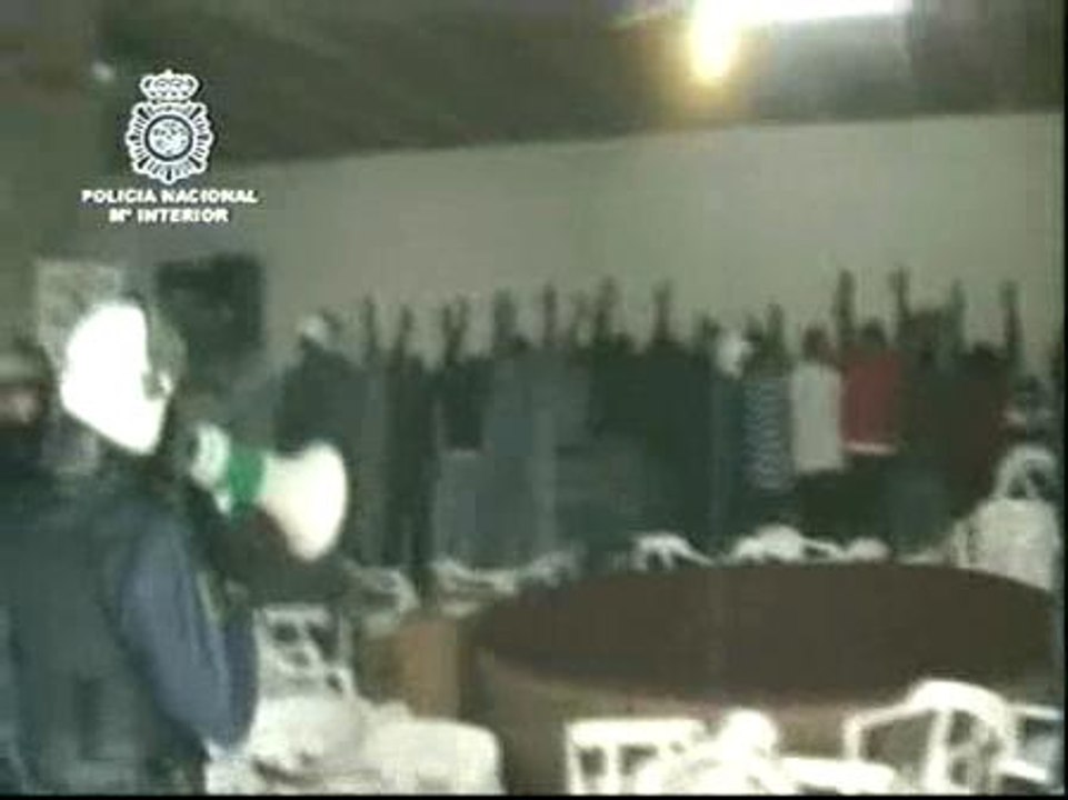 Desarticulada una red de peleas de gallos dopados