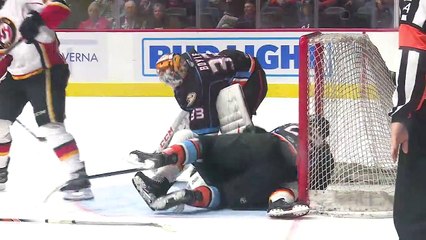 Final Highlights: San Diego Gulls 1, Stockton Heat 2