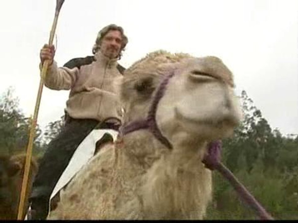 A Santiago en camello