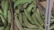 La policía descubre 100 kilos de cocaína camuflada en las cajas de plátanos de varios supermercados de Madrid