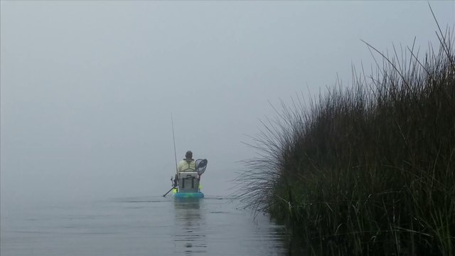 Travel Track On Sirk TV: SPRING CREEK (BIG BEND WILDLIFE MANAGEMENT AREA) [Perry, Florida]