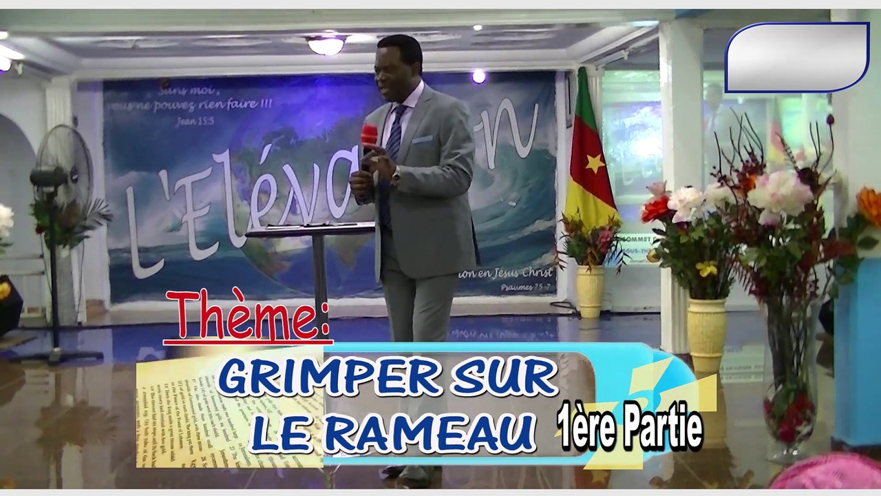 GRIMPER SUR LE RAMEAU  1ère partie