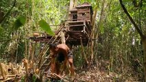 Primitive Technology - Build Bath Swimming On The Tree House By Ancient Skills