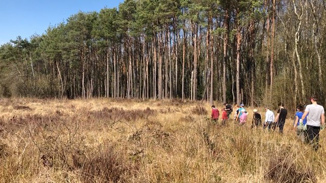 Chantier participatif de restauration d’une tourbière au Marais du Fourneau