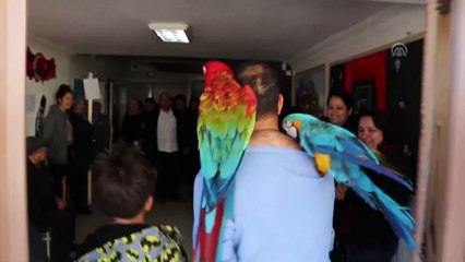 Papağanlarıyla oy kullandı  - DENİZLİ