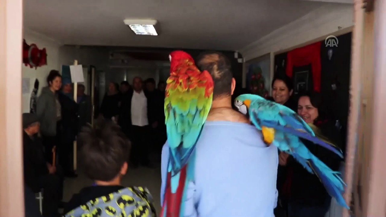 Papağanlarıyla oy kullandı  - DENİZLİ