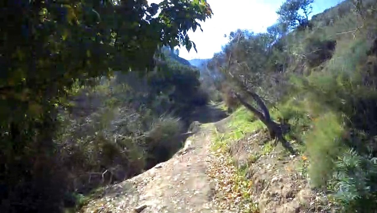Arroyo de las Adelfas (Antequera)