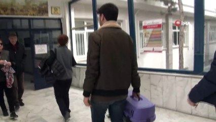 Oy kullanmaya kedisiyle beraber geldi