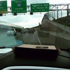 Taking a Nature Walk on a Busy Highway