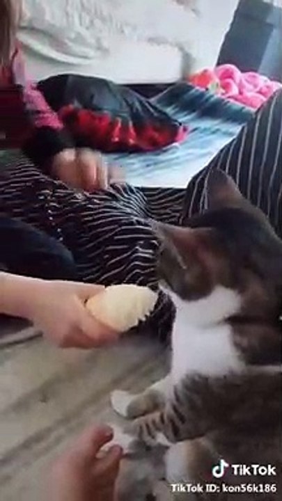 飼い主ひどくね