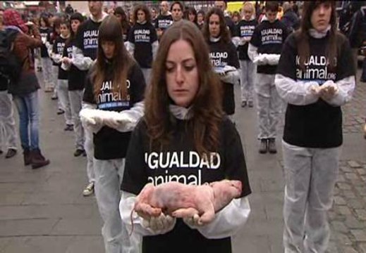 Contra el maltrato animal