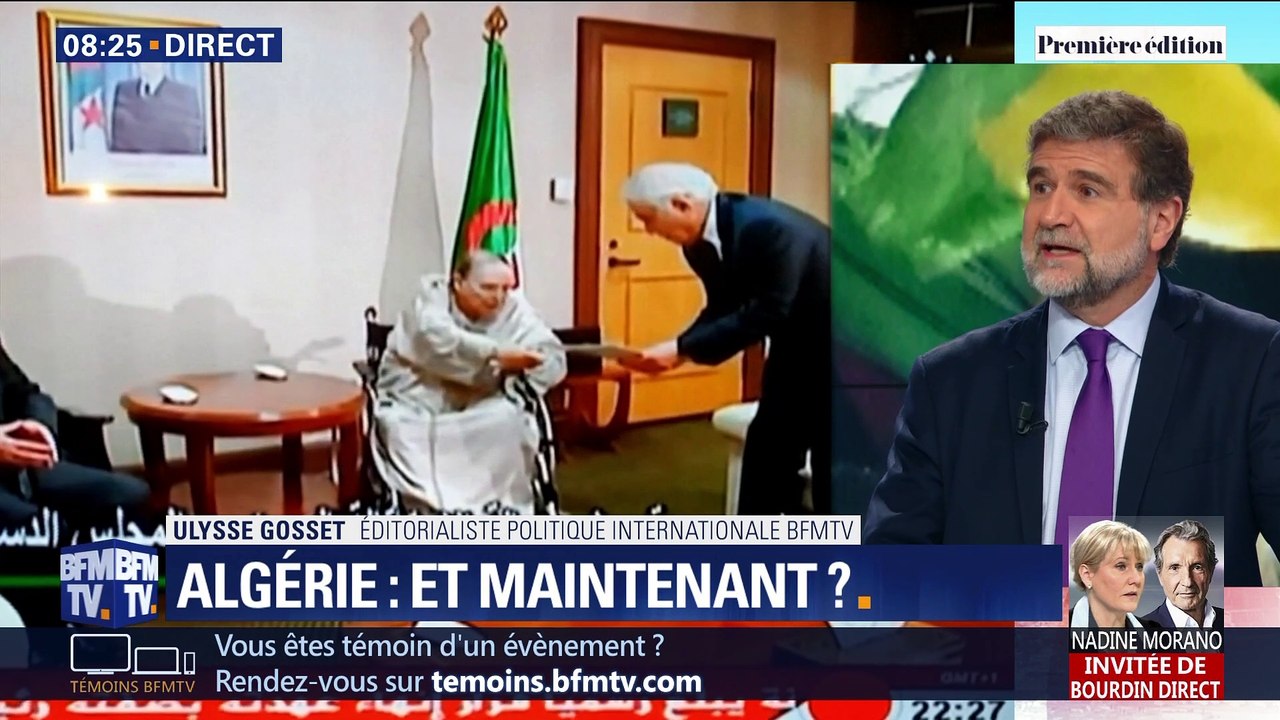 Focus Première : Que va-t-il se passer en Algérie après la démission d'Abdelaziz Bouteflika ?