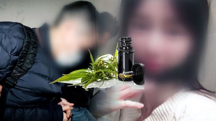 SK·현대·남양유업까지...재벌가 홀린 마약 / YTN