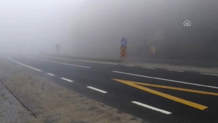 Bolu Dağı'nda Yoğun Sis - Düzce