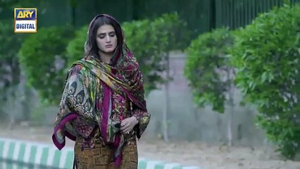 Do Bol E 10 _ 2nd April 2019 _ ARY Digital Drama