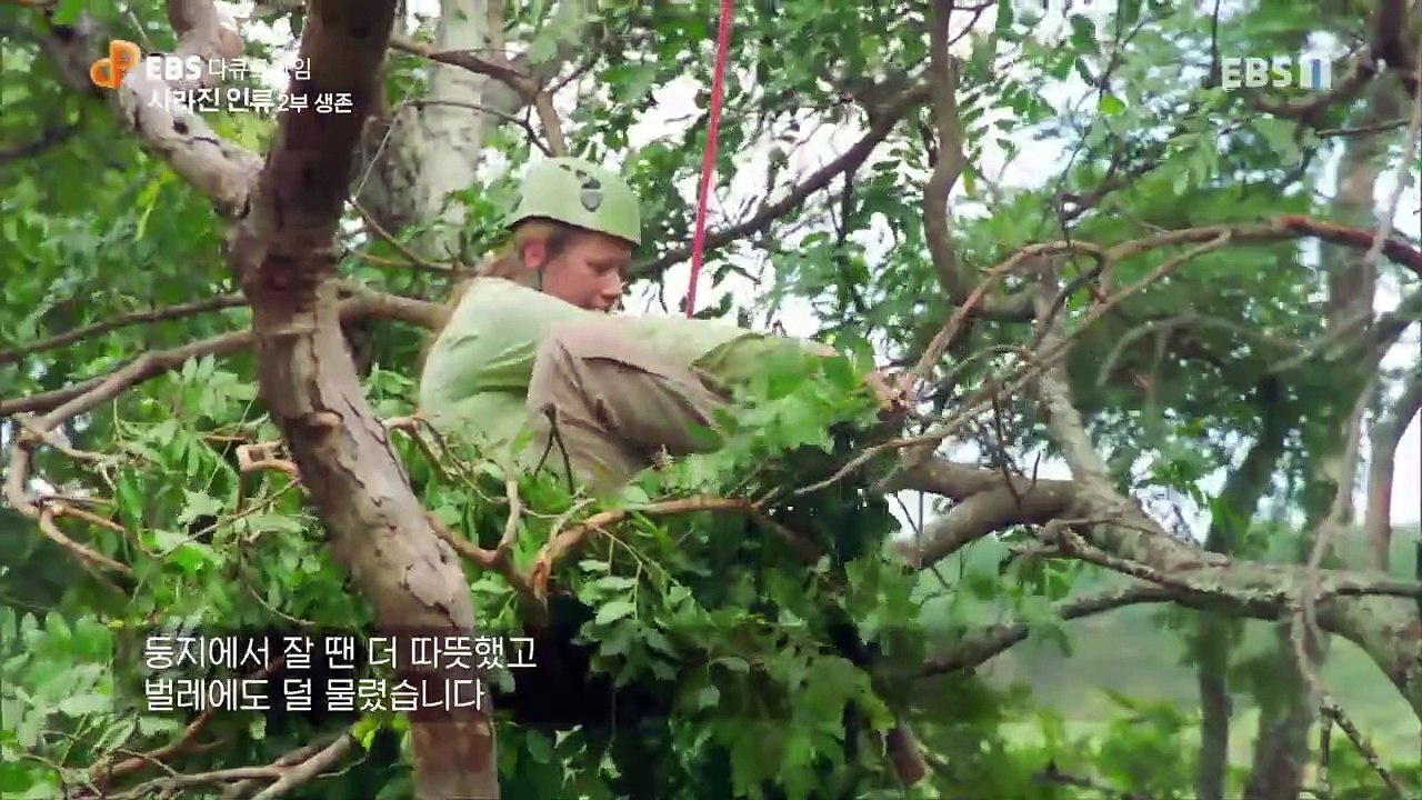 EBS 다큐프라임 - Docuprime_사라진 인류 (생존)_#002