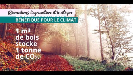 SIA2019 - Les forêts et le bois au cœur des territoires