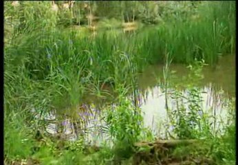 Un hombre tira al Ebro a su hijastra de 10 meses tras discutir con la madre de la pequeña