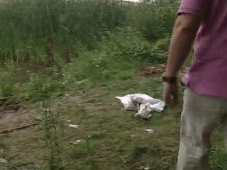 Fallece una niña ahogada en el río Ebro en Logroño