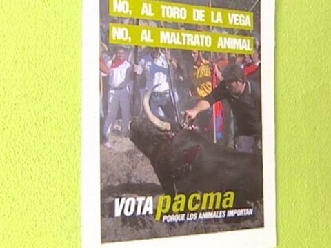 PACMA denuncia maltrato en los encierros